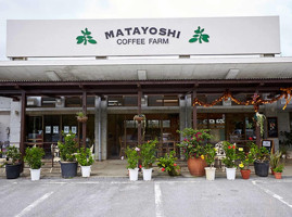 Matayoshi Coffee Farm outside