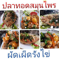 ร้าน อาหารสองพีน้อง food