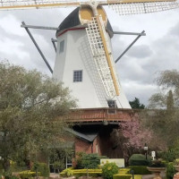 Windmill Gardens Picnics food