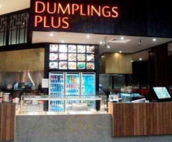 Dumplings Plus food