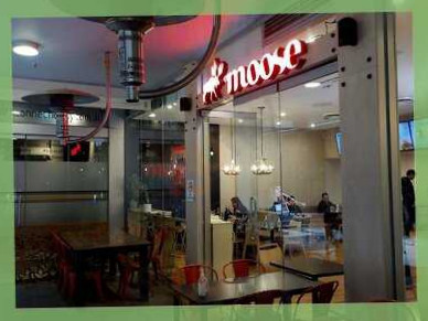 Moose Cafe