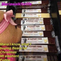 Mt Elephant Fudge food