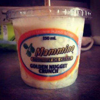 Mammino Gourmet Ice Cream food
