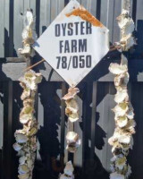 The Oyster Shed food