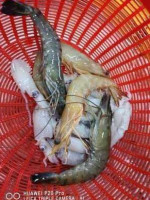 Selera Senibong Seafood inside