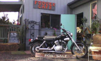 Fodder Cafe Curios food