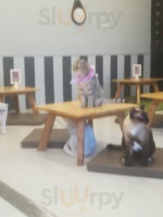 Makura Cat Cafe inside