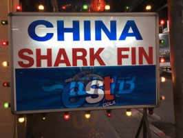 China Shark Fin food
