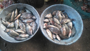 Fresh Fish Market Begampur food