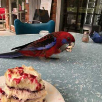 Lyrebird Cafe food