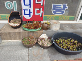 광주만조해물탕 food