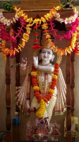 Shri Krishna Pure Veg food