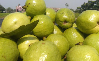 Guava Garden food
