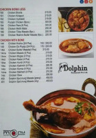 Dolphin food