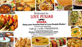 Love Punjab Dhaba food