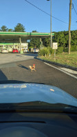 Bp Truckstop outside