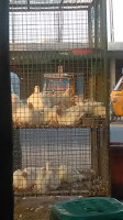 Khadar Chicken Center outside