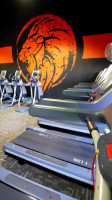 Roar Active Jandakot inside