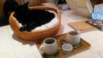 Cat Cafe ねこびやか food