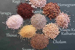 Lakshmi Agro Foods food