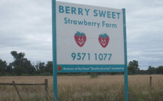 Berry Sweet Strawberry Farm food
