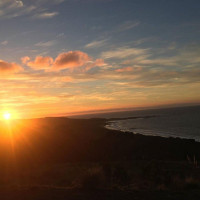 Taste Of King Island food