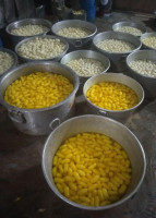 Krishna Sweet Home Rasgulla Factory food