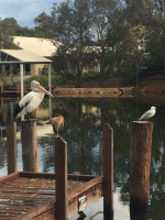 Pelicans On The Murray Cafe inside
