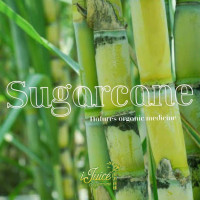 Ijuice Sugarcane food