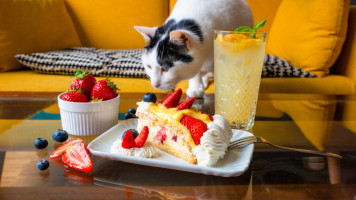 Crazy Cat Cafe food