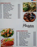 Dolphin food