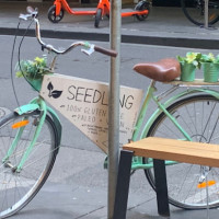 Seedling Cafe Flinders food
