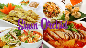 Siam Orchid food