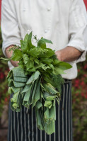 The Greenhouse Eatery food