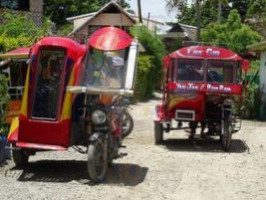 Andi's Talisay food