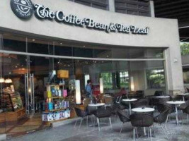 The Coffee Bean Tea Leaf food