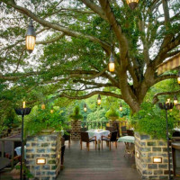 La Terrasse inside