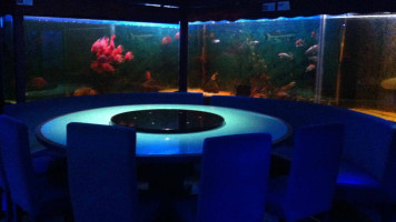 The Blue - Under Water Resto Lounge inside