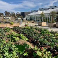 Rosa Mexicano- Burwood Brickworks outside