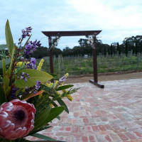 Vine Shed Venue And Cellar Door food