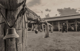 Wildbrumby Distillery outside