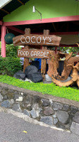 Cocoys Food Garden food