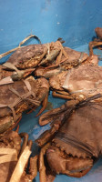 마리바고크랩 Maribagocrab food