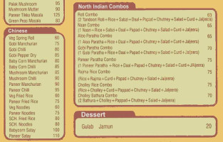 Funky Punjab menu