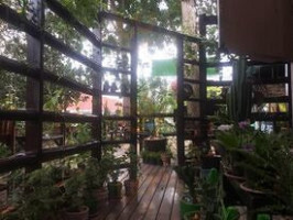 Treehouse Cafe inside