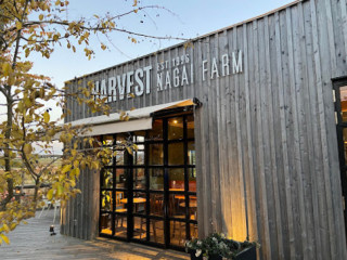 Harvest Nagai Farm