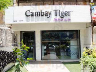 Cambay Tiger Prawns