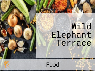 Wild Elephant Terrace