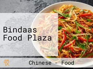 Bindaas Food Plaza