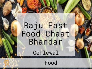 Raju Fast Food Chaat Bhandar